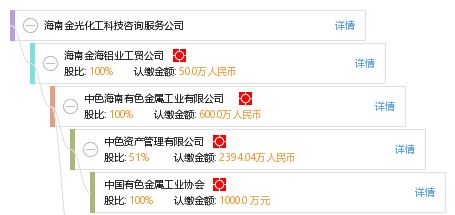 海南金光化工科技咨詢服務(wù)公司 信息技術(shù)咨詢服務(wù)的專業(yè)賦能者